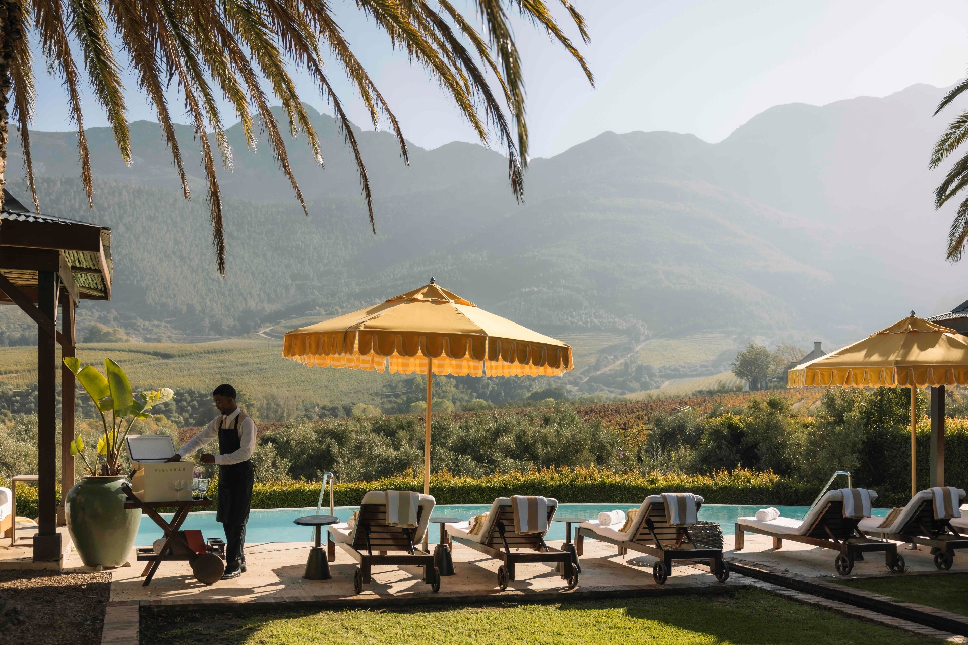 Poolside with Vineyard Views