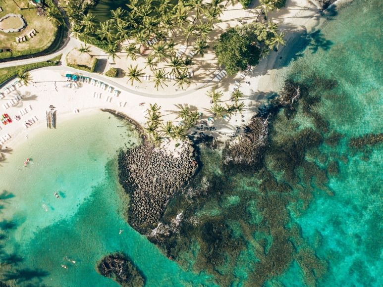 The Beach & Lagoon