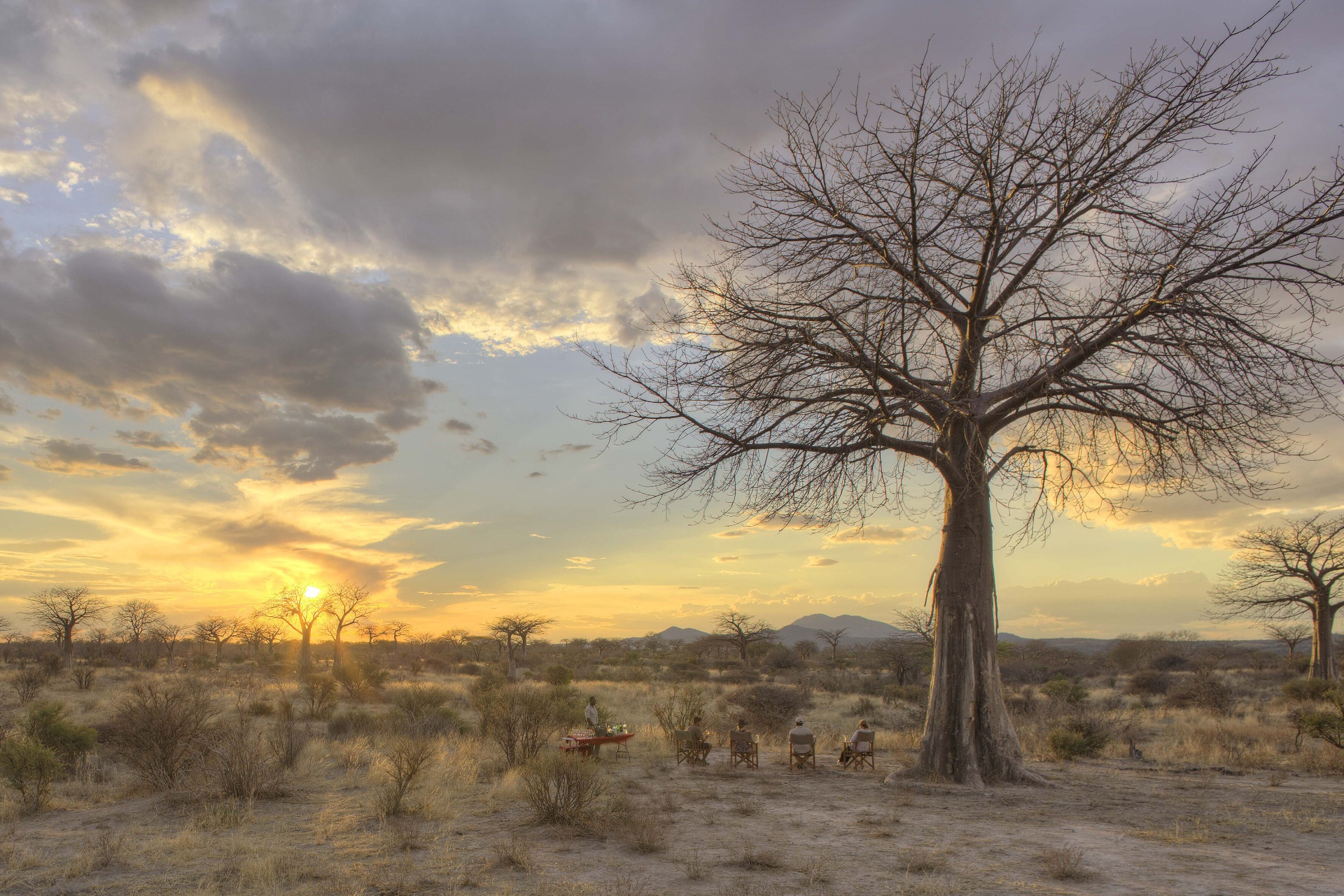 Sundowners Under the Baobabs