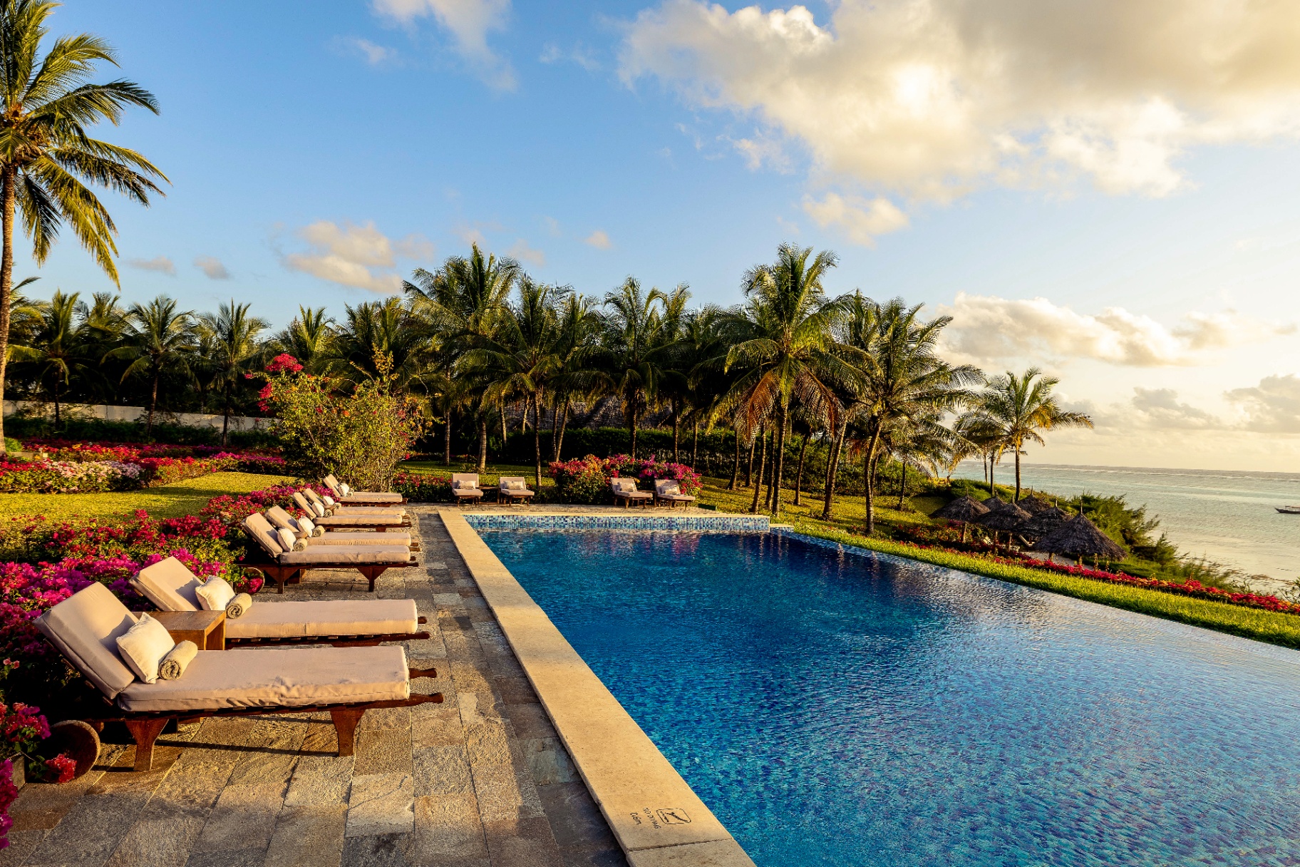 The Infinity Pool