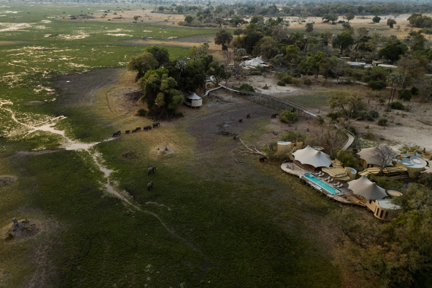 Mombo Camp — luxury safari lodge in Okavango Delta