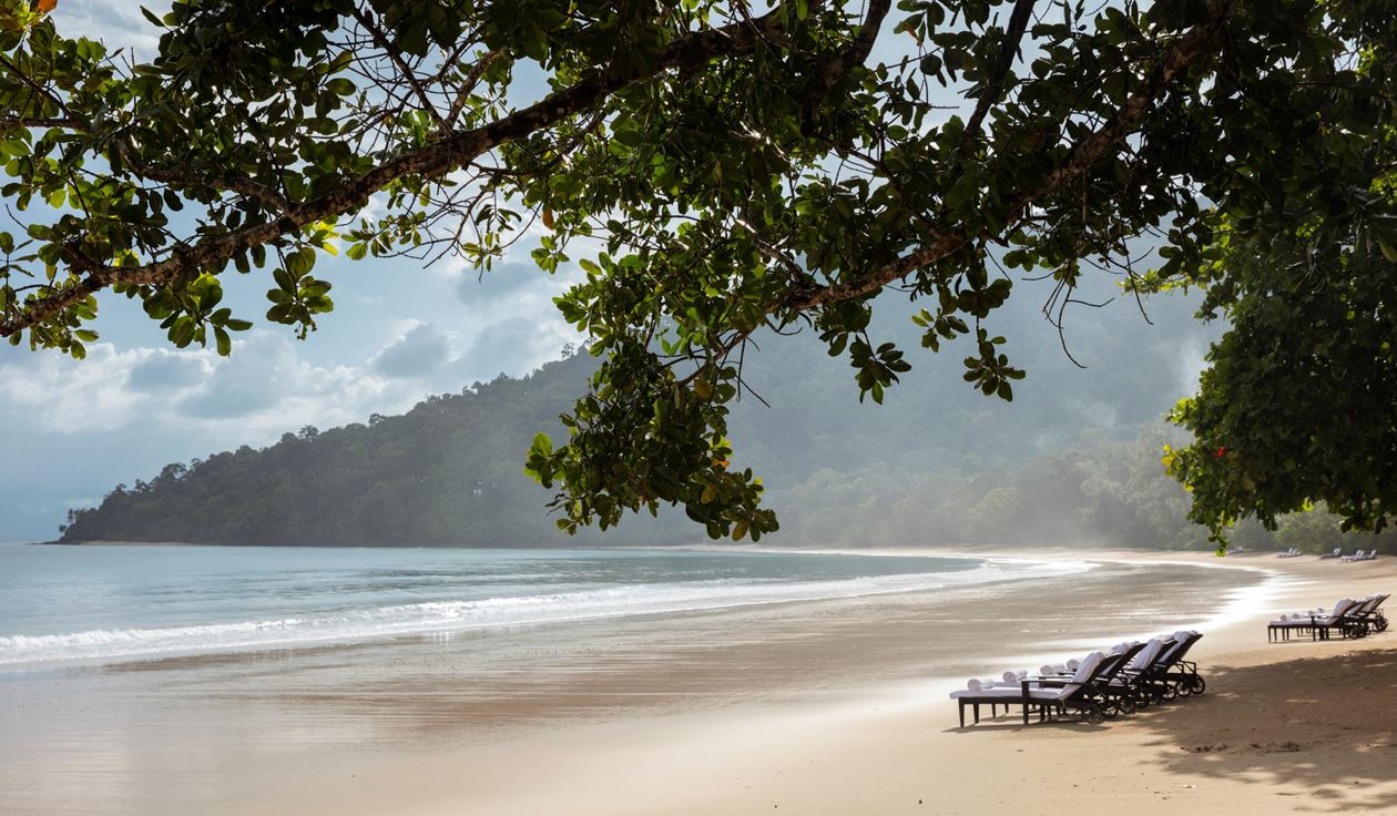 The Beach & Grounds