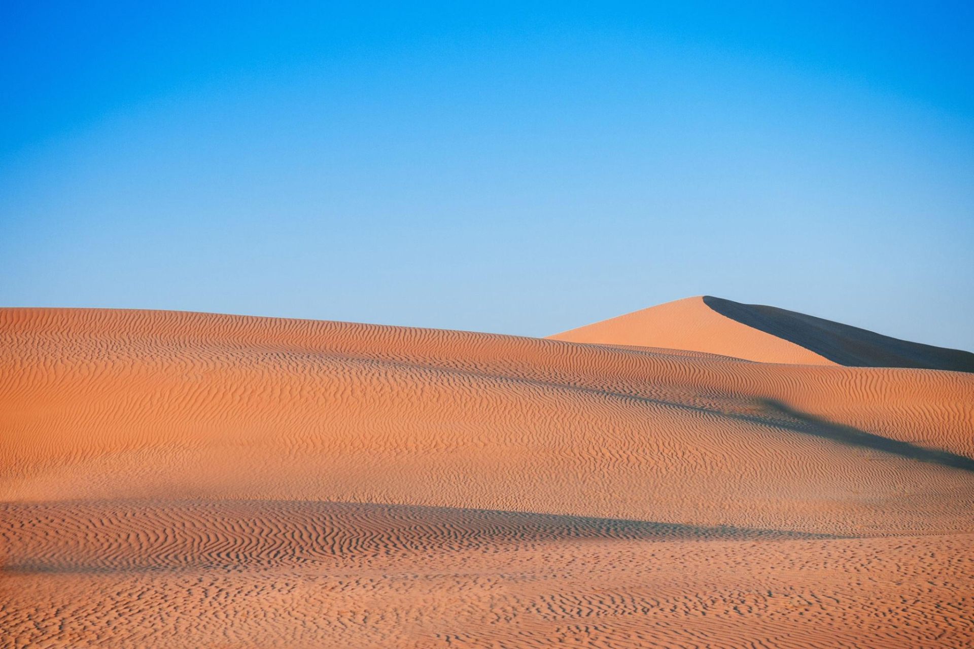 Al Wathba, a Luxury Collection Desert Resort