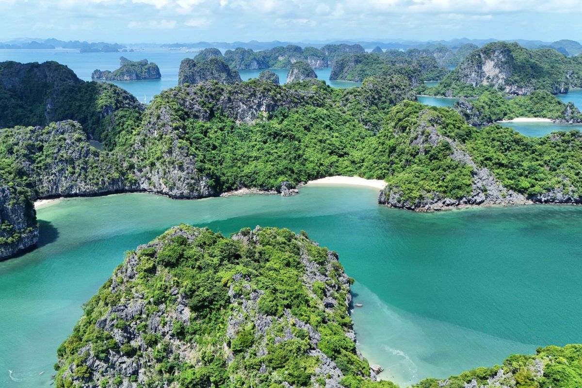 Vietnam Discovery