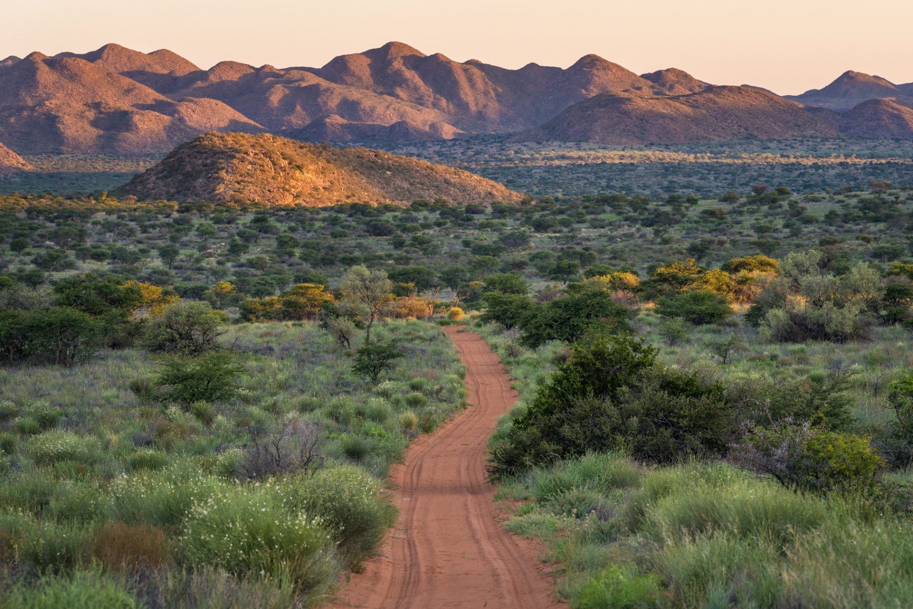 Tswalu Motse — luxury safari lodge in Kalahari