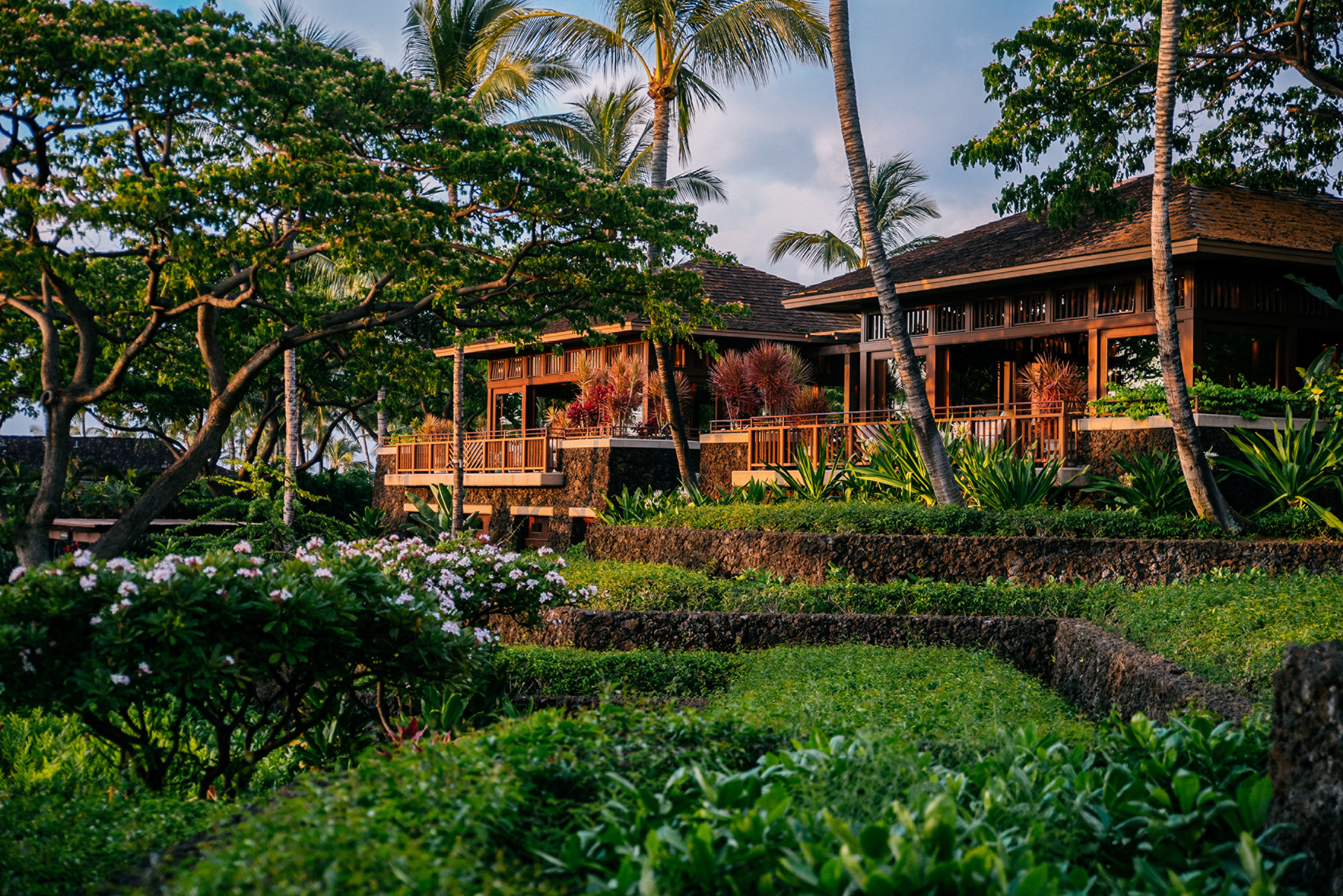 The Grounds