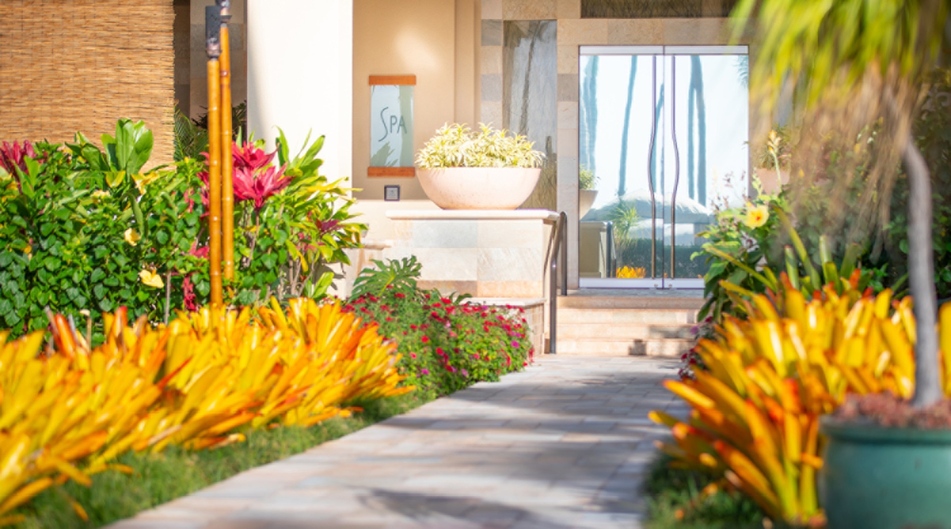 Spa & Wellness