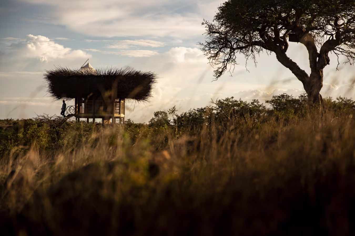 Segera — luxury safari lodge in Laikipia