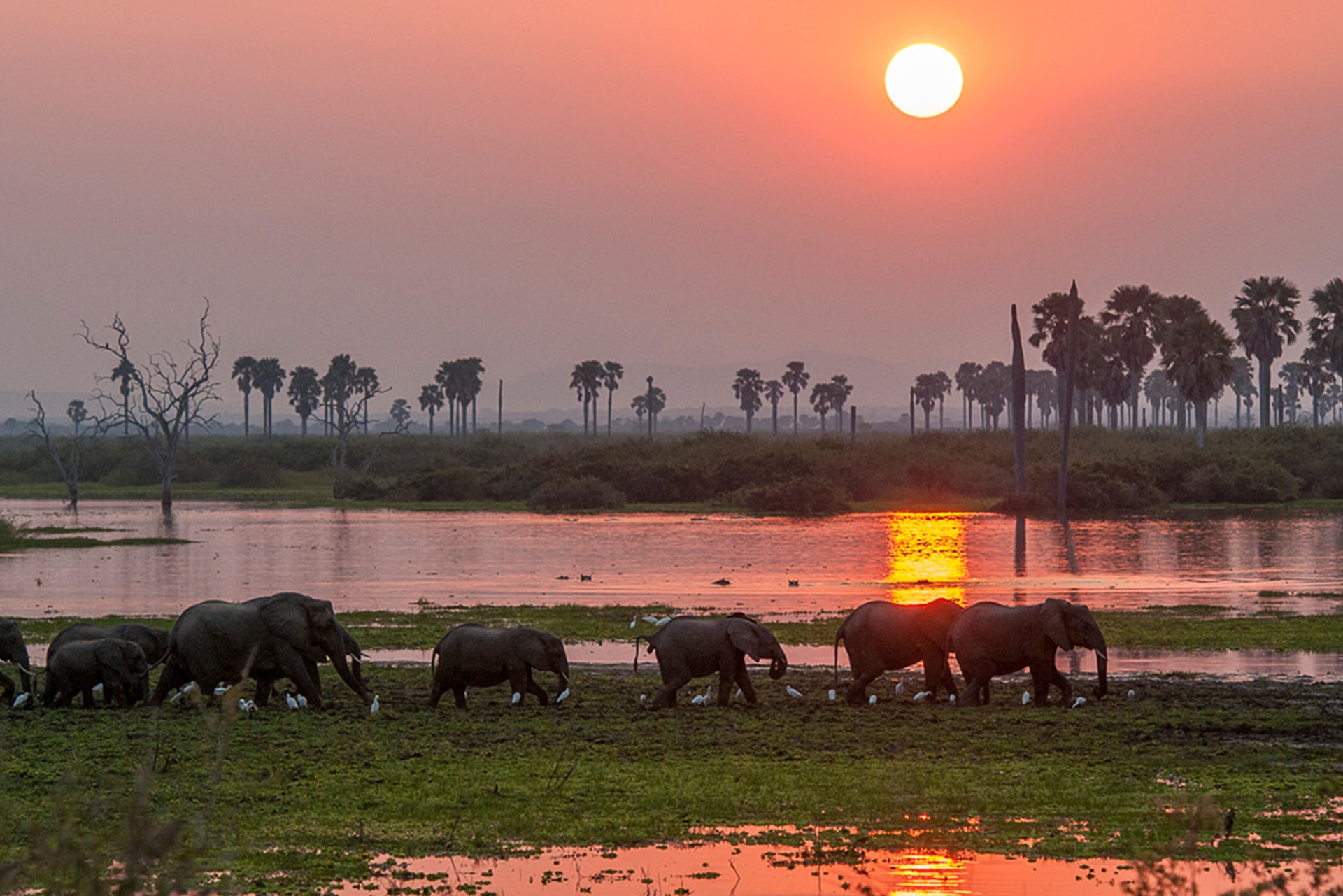 Roho ya Selous Camp — luxury safari lodge in Nyerere National Park (Selous)