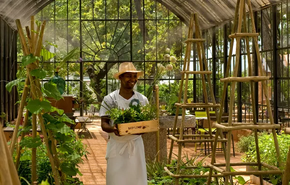 Garden Greenhouse