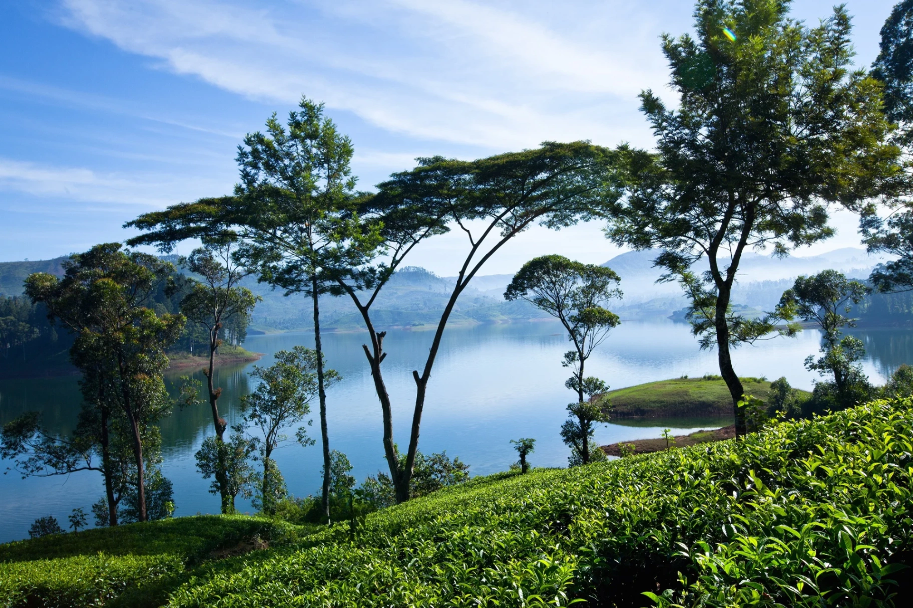 Sri Lanka Discovery