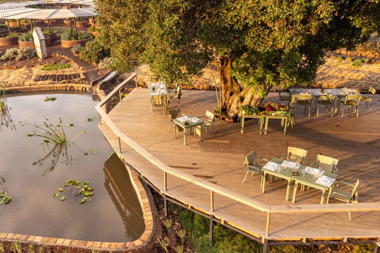 Shamba Table