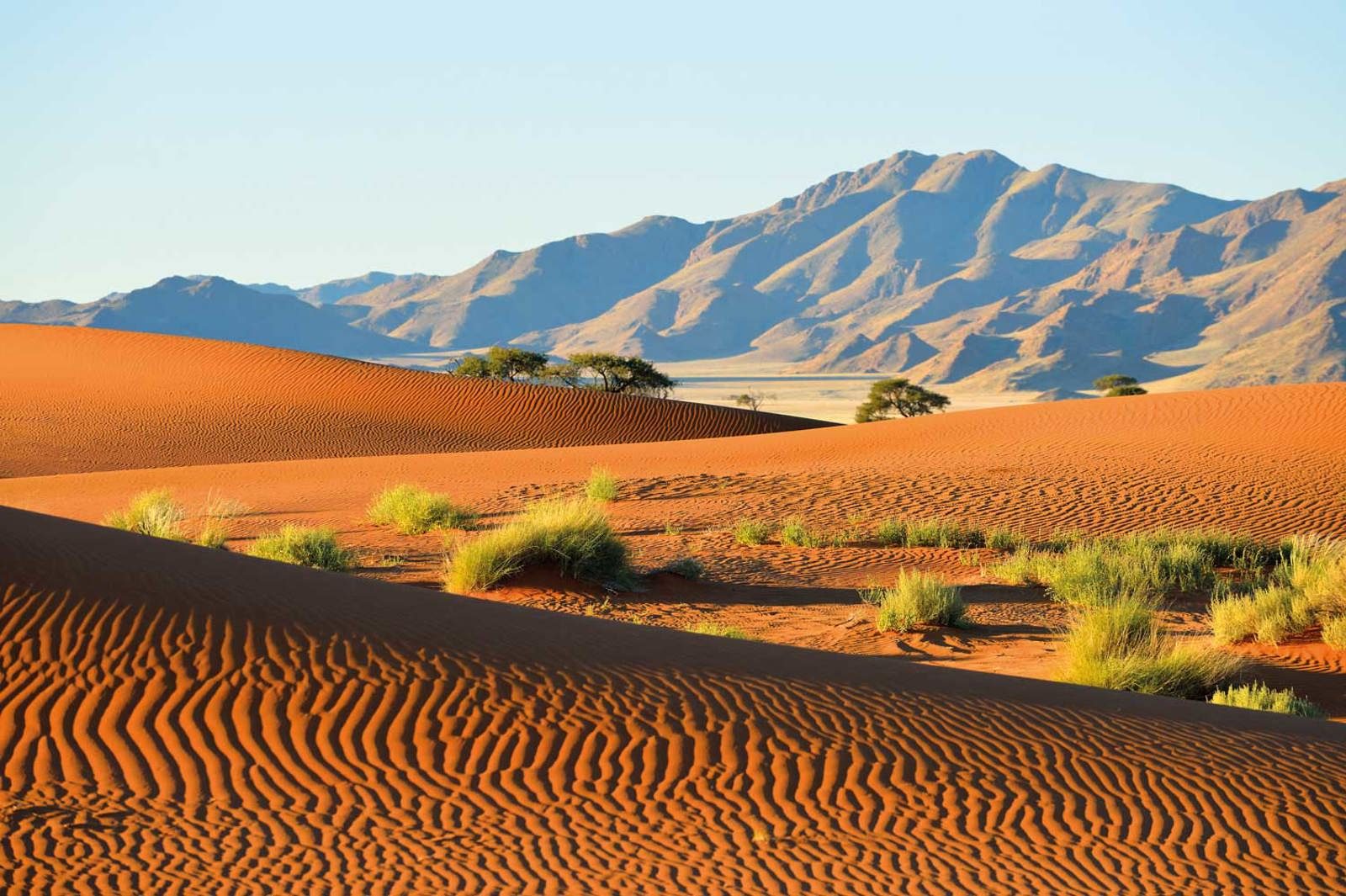 Namibian Journey: Desert Landscapes & Wildlife